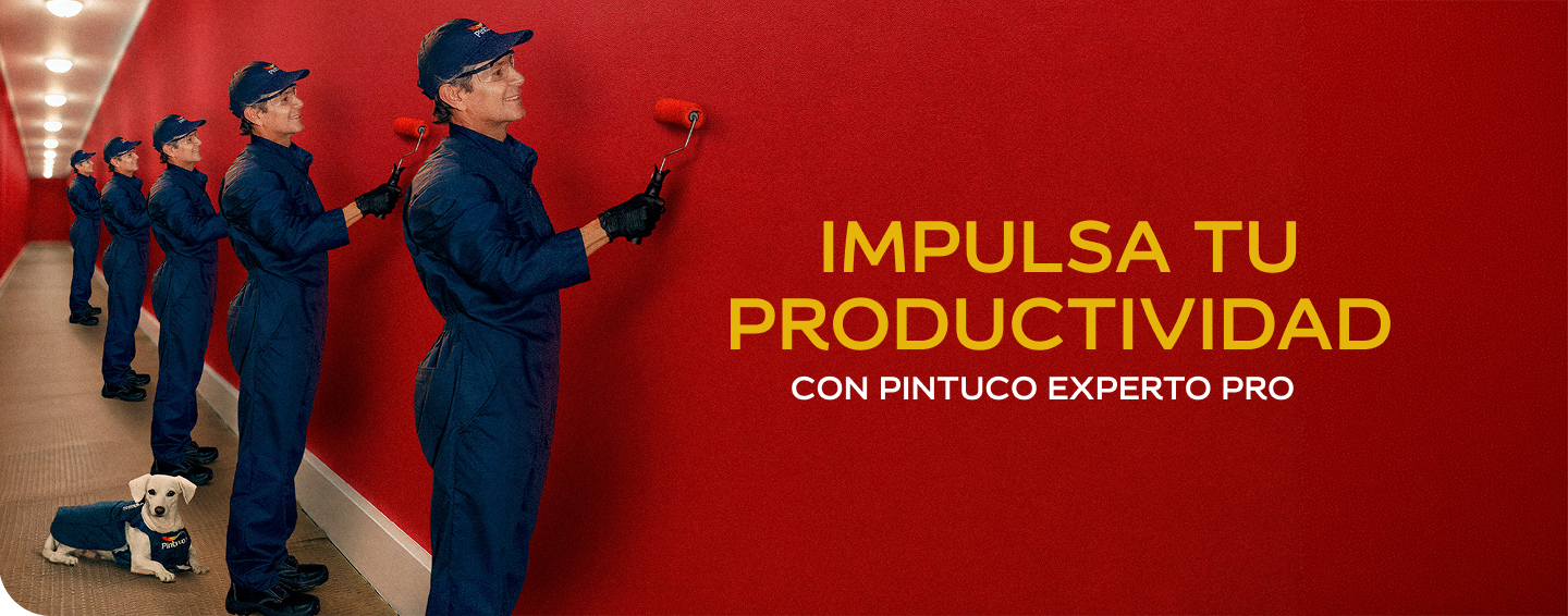Pintuco Experto Hero