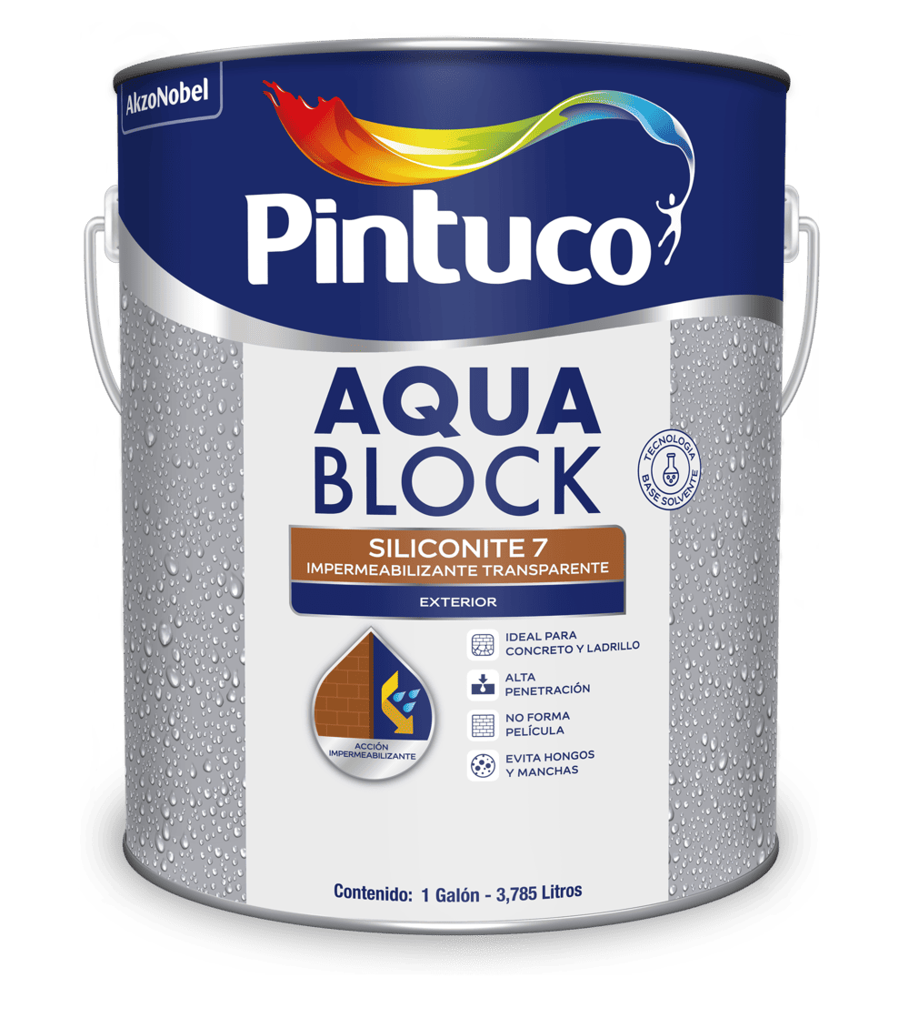 Pintuco