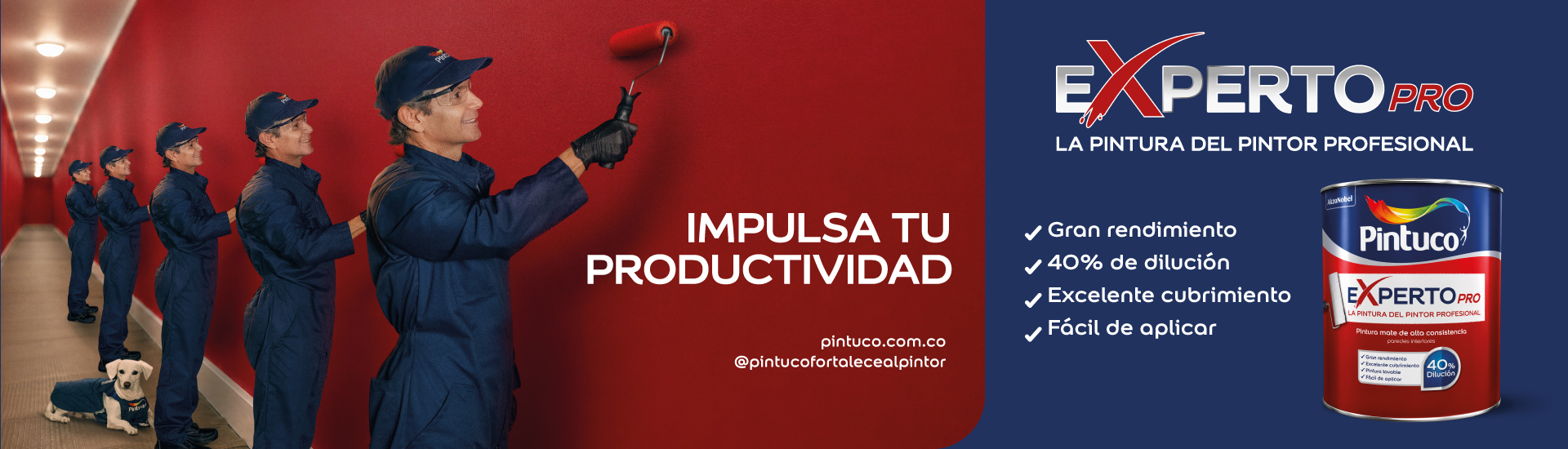 pintuco